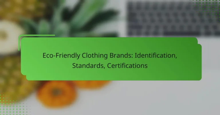 Eco-Friendly Clothing Brands: Identification, Standards, Certifications