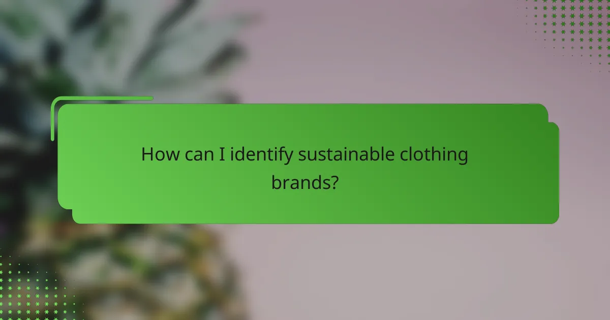 How can I identify sustainable clothing brands?