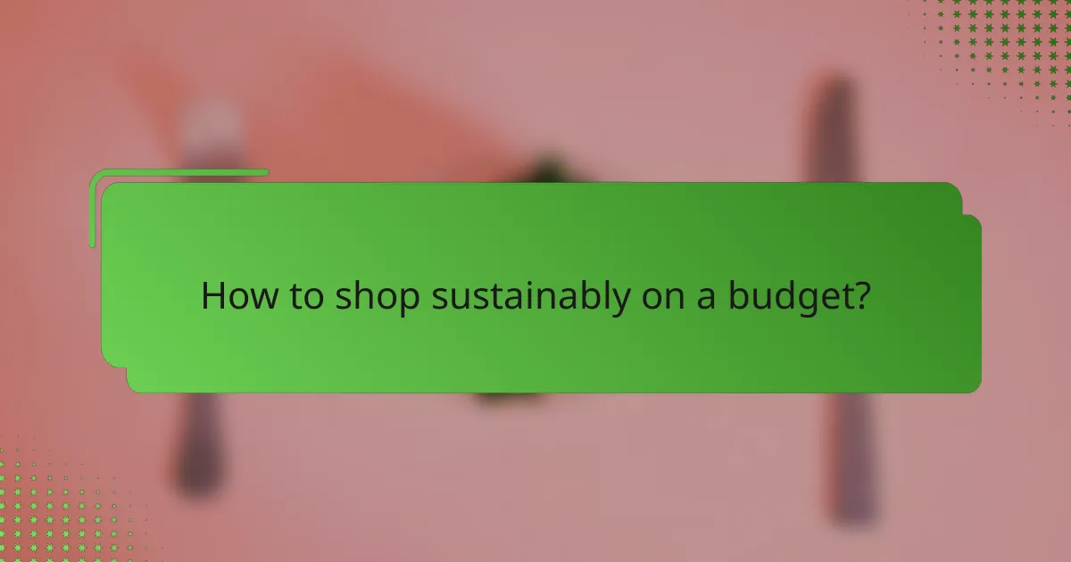 How to shop sustainably on a budget?