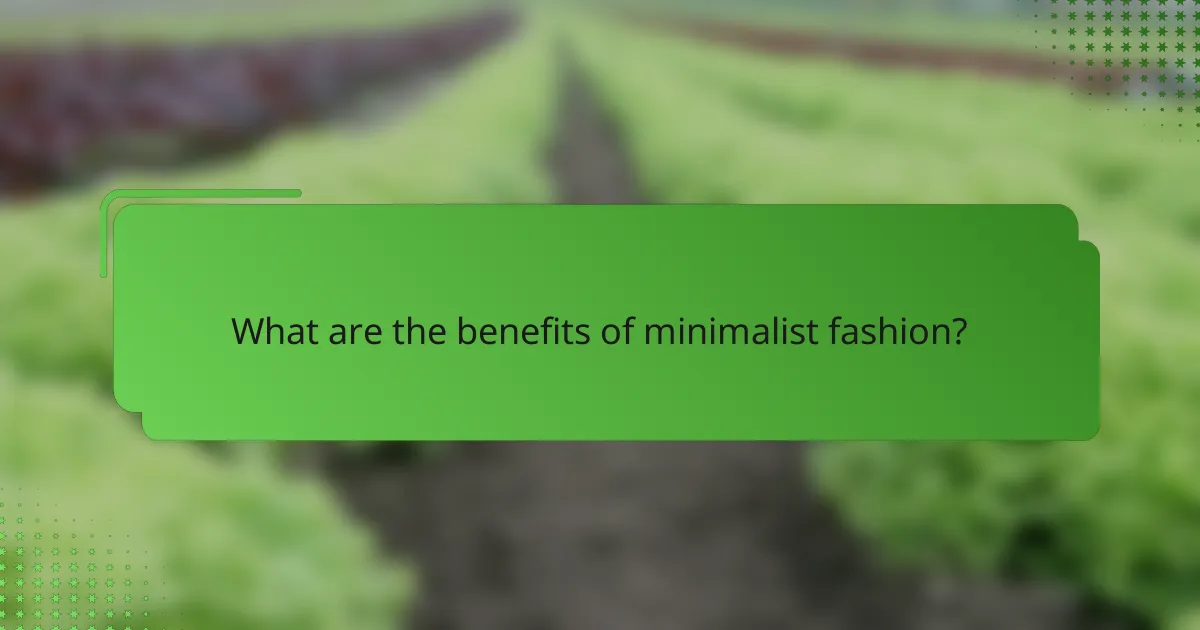 What are the benefits of minimalist fashion?