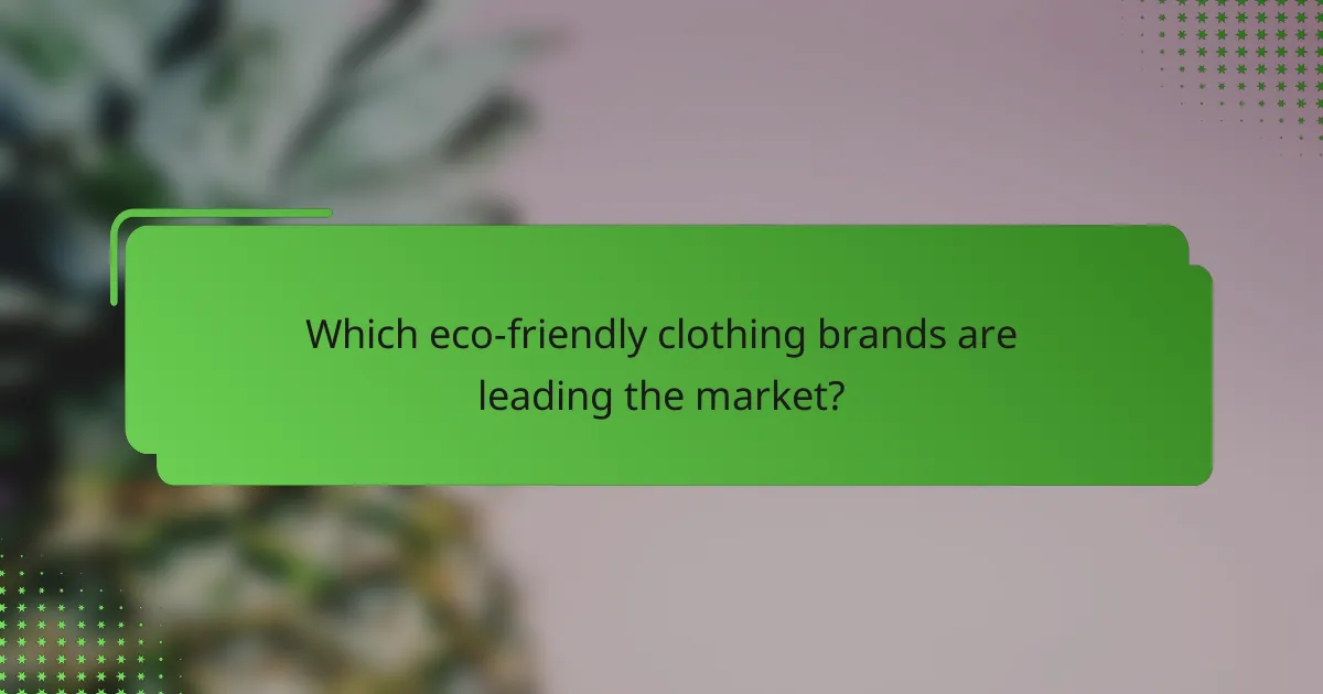 Which eco-friendly clothing brands are leading the market?